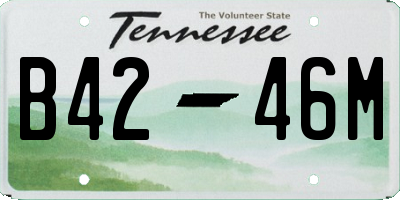TN license plate B4246M