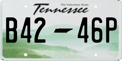 TN license plate B4246P