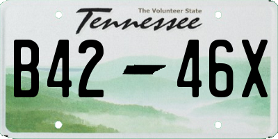TN license plate B4246X