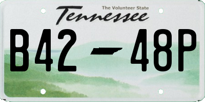 TN license plate B4248P