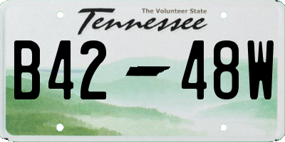 TN license plate B4248W