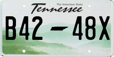 TN license plate B4248X