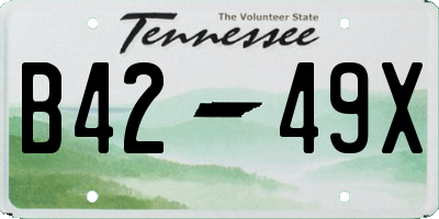 TN license plate B4249X