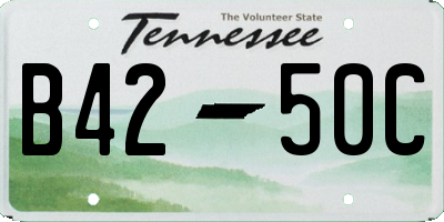 TN license plate B4250C