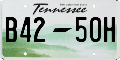 TN license plate B4250H