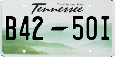 TN license plate B4250I