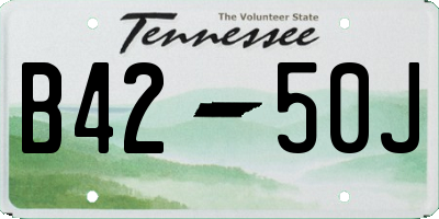 TN license plate B4250J