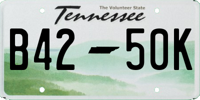 TN license plate B4250K