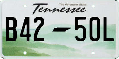 TN license plate B4250L
