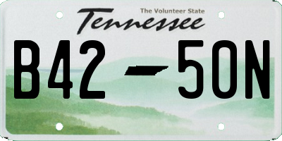 TN license plate B4250N