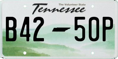 TN license plate B4250P