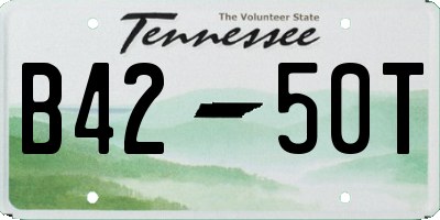 TN license plate B4250T