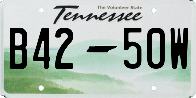 TN license plate B4250W
