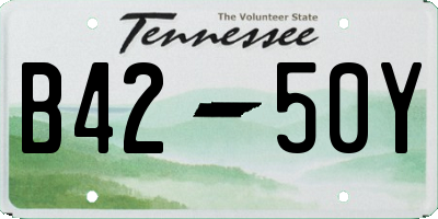 TN license plate B4250Y