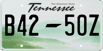 TN license plate B4250Z