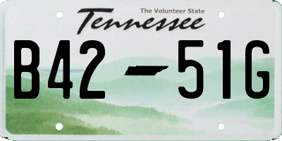 TN license plate B4251G