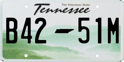 TN license plate B4251M