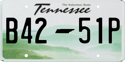 TN license plate B4251P