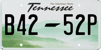 TN license plate B4252P