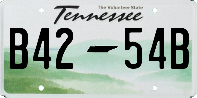 TN license plate B4254B