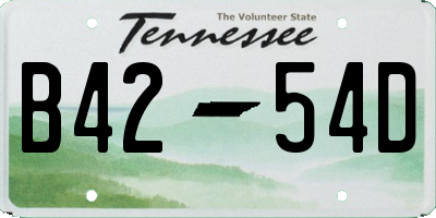 TN license plate B4254D