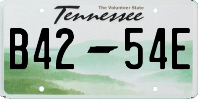 TN license plate B4254E