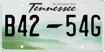 TN license plate B4254G