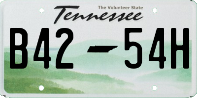 TN license plate B4254H