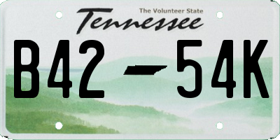 TN license plate B4254K