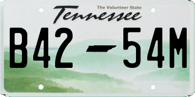 TN license plate B4254M