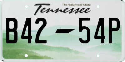 TN license plate B4254P