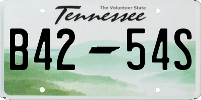 TN license plate B4254S