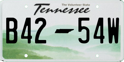 TN license plate B4254W