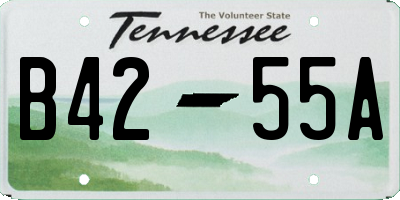 TN license plate B4255A
