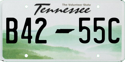 TN license plate B4255C