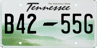 TN license plate B4255G