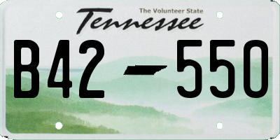 TN license plate B4255O