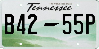 TN license plate B4255P