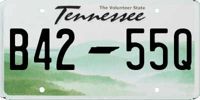 TN license plate B4255Q