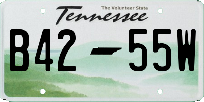 TN license plate B4255W
