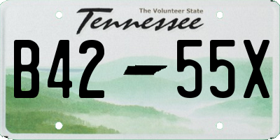 TN license plate B4255X