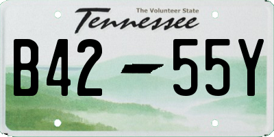 TN license plate B4255Y