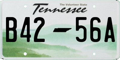 TN license plate B4256A