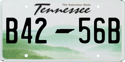 TN license plate B4256B