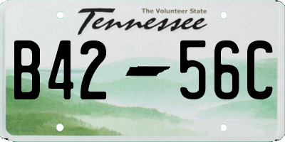 TN license plate B4256C
