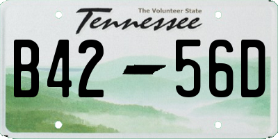 TN license plate B4256D