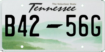 TN license plate B4256G