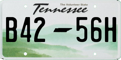 TN license plate B4256H