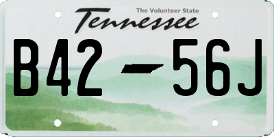 TN license plate B4256J