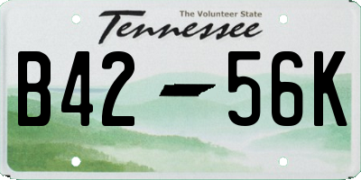 TN license plate B4256K